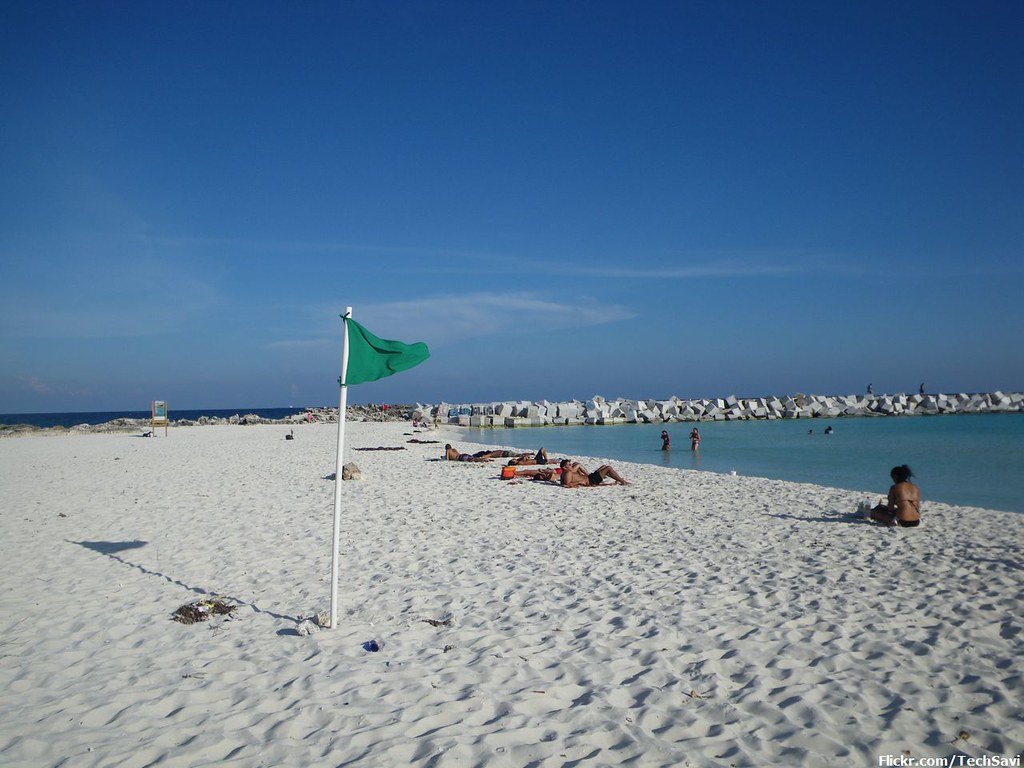 Beach Flags