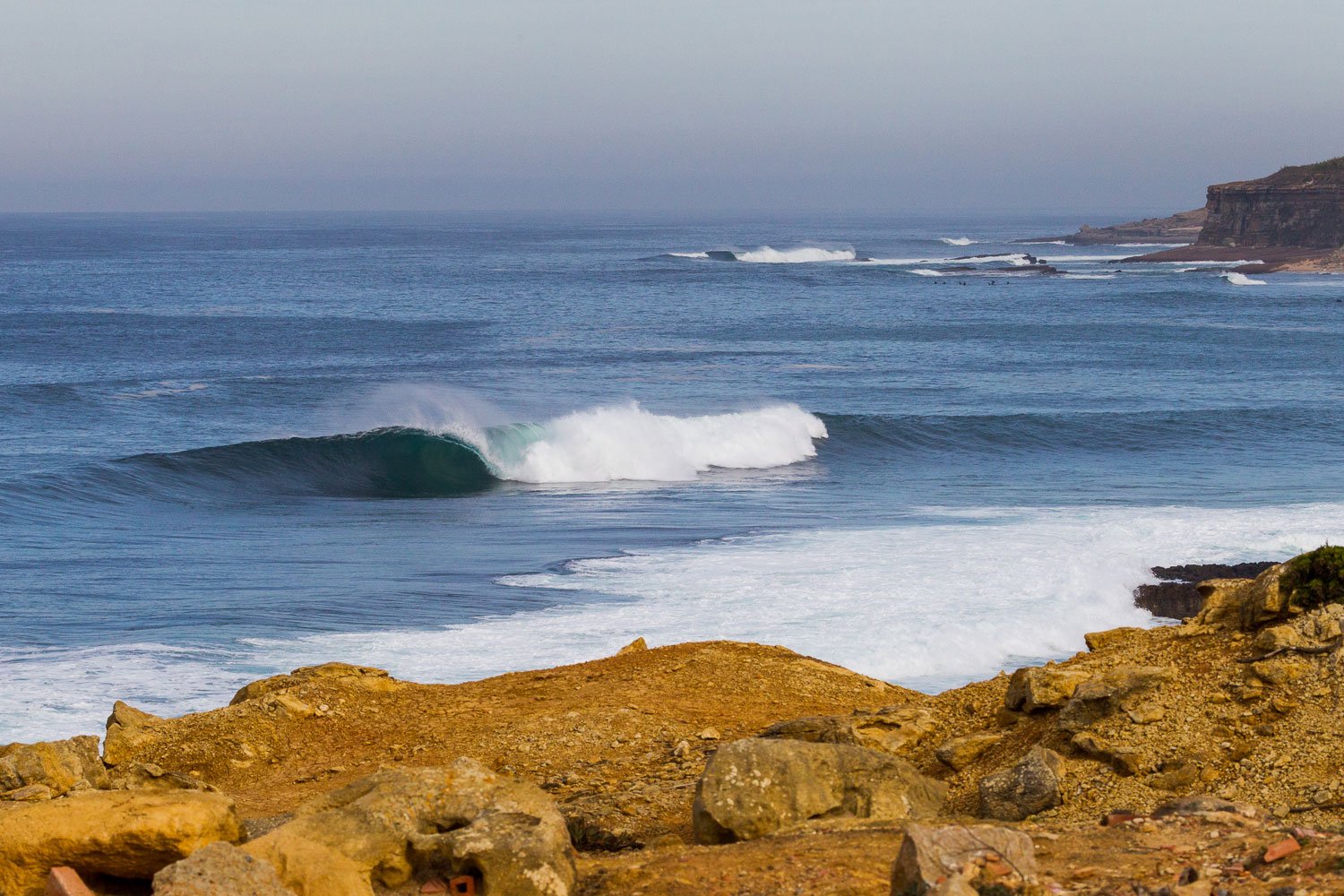 Reef, Ericeira