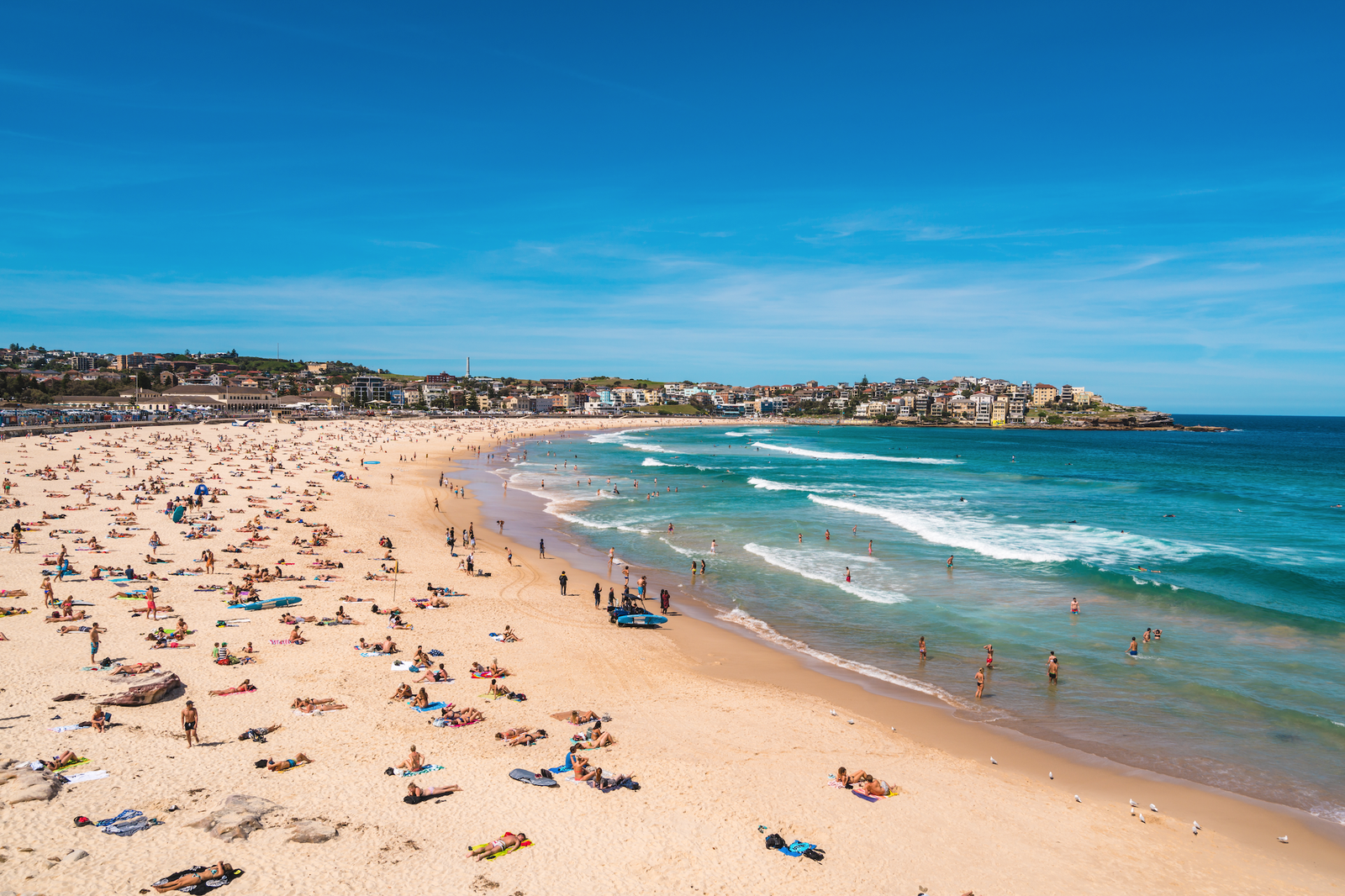 Bondi Beach